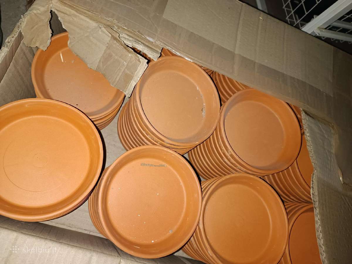 Molinės lėkštutės, 10 cm skersmens vazonui įdėti