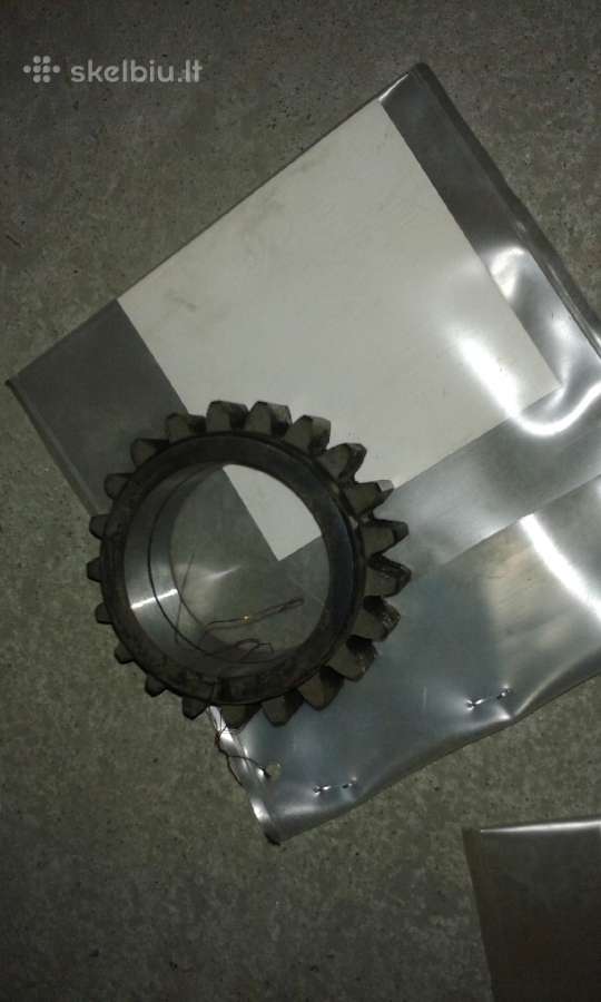 Krumpliaračiai - nuotraukos Nr. 3