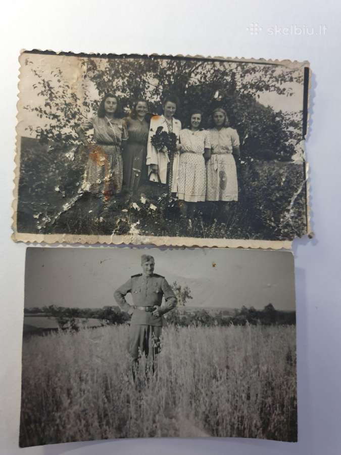 Senos foto