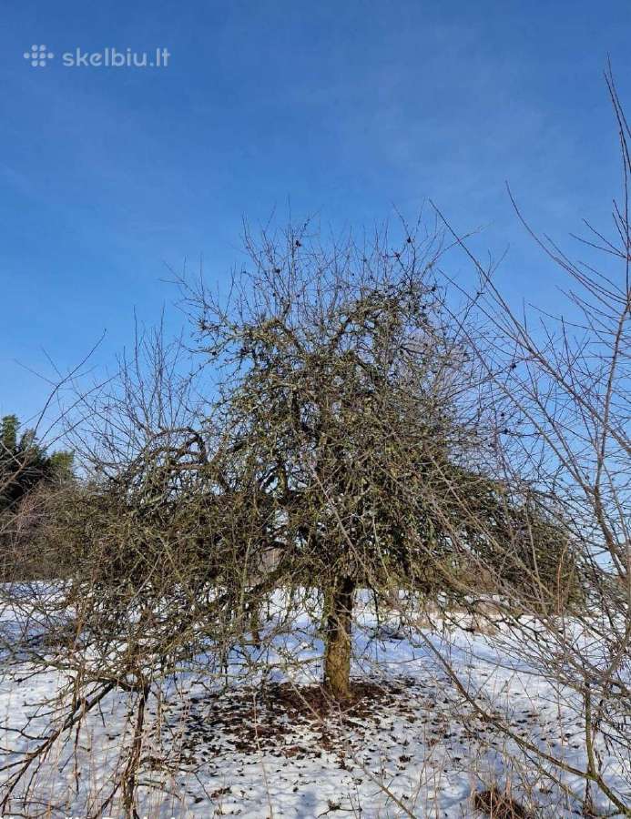 Kaminų,krosnių,latakų valymas,kaminų įdėklai - nuotraukos Nr. 12