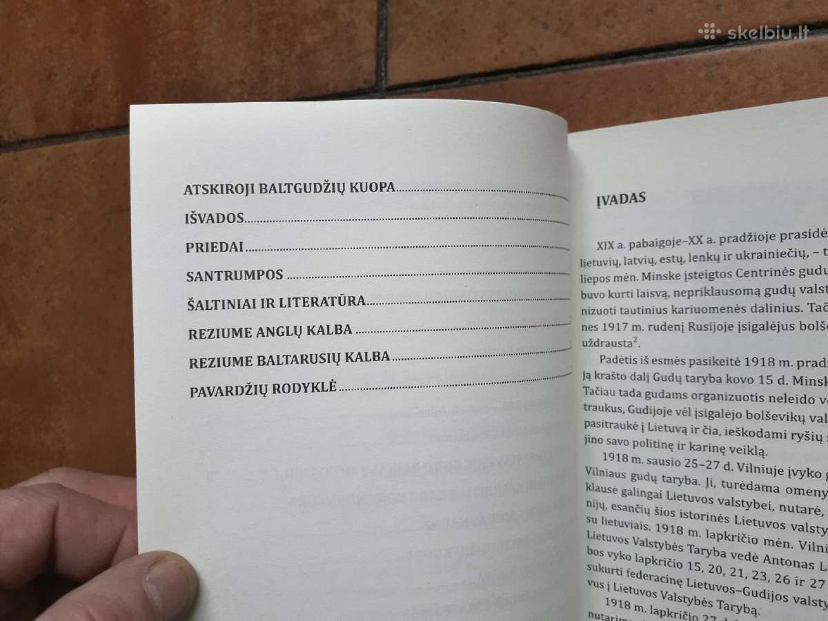 G. Surgailis "Lietuvos kariuomenės kar. daliniai" - nuotraukos Nr. 5