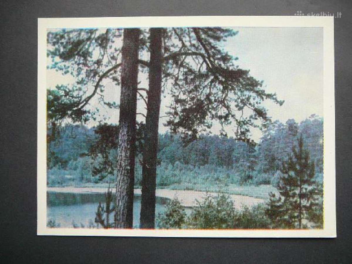 Druskininkai Ezeras - Mergeliu akys Lietuva atv.23