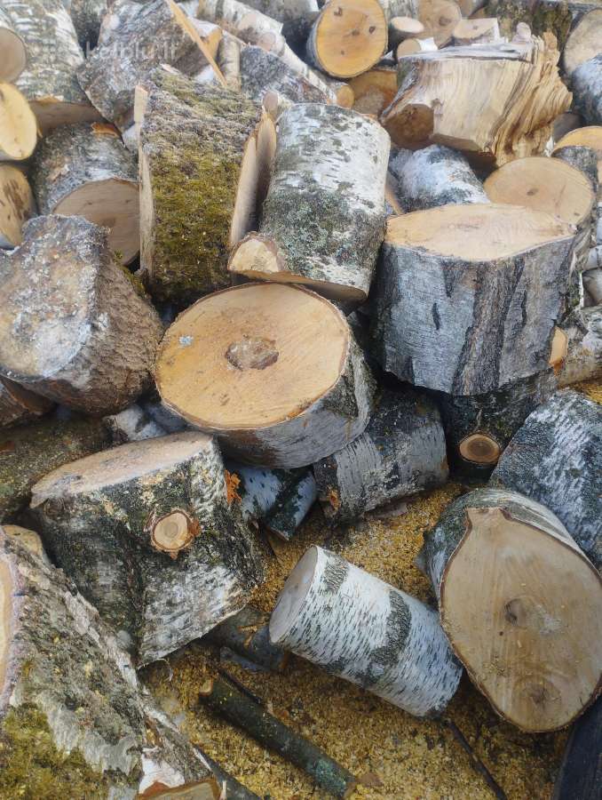 Berzas. 50. Juodalksnis 48misri 40pusis - nuotraukos Nr. 2