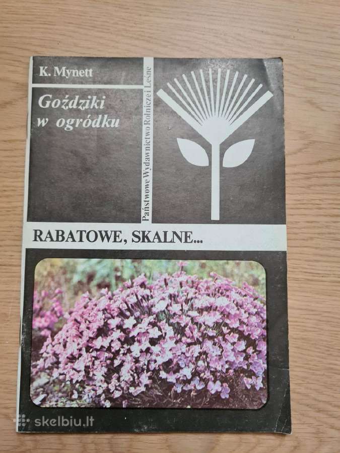 Goździki w ogrdku. Rabatowe, skalne (Lenkų k.)