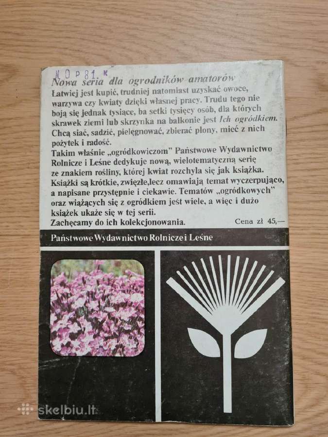 Goździki w ogrdku. Rabatowe, skalne (Lenkų k.) - nuotraukos Nr. 2