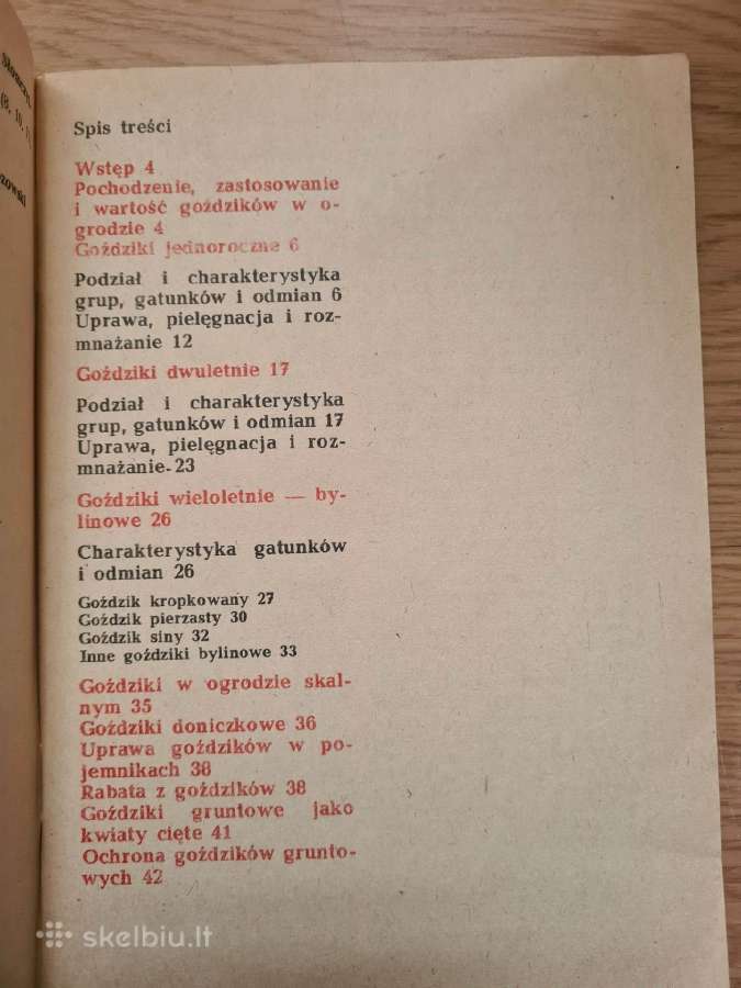 Goździki w ogrdku. Rabatowe, skalne (Lenkų k.) - nuotraukos Nr. 3