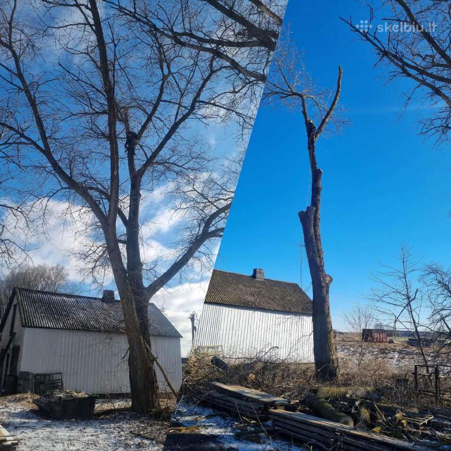 Medžių pjovimas-genėjimas-gyvatvorių karpymas - nuotraukos Nr. 11