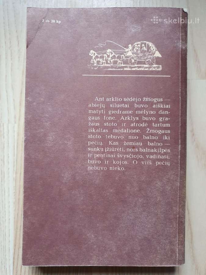 Raitelis be galvos - nuotraukos Nr. 2