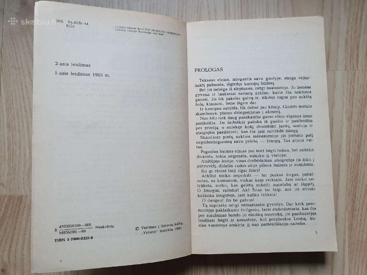 Raitelis be galvos - nuotraukos Nr. 4