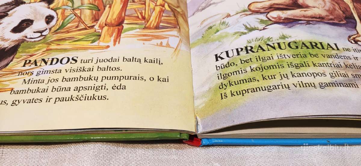 Knyga Gyvūnai ir jų vaikai - nuotraukos Nr. 3