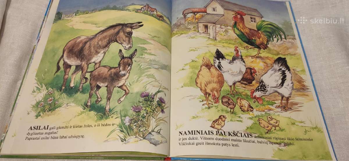 Knyga Gyvūnai ir jų vaikai - nuotraukos Nr. 4