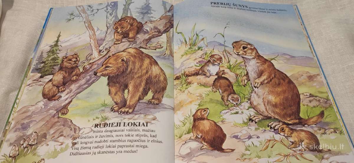 Knyga Gyvūnai ir jų vaikai - nuotraukos Nr. 5