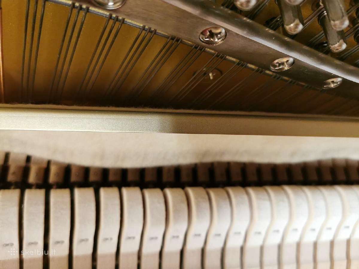Koncertinės kl. Yamaha Mx100 II Disklavier Sistem - nuotraukos Nr. 5