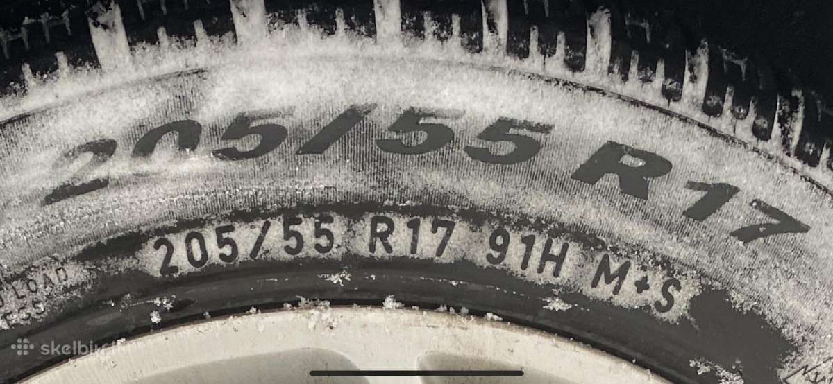 Michelin , Good Jear,pirelli - nuotraukos Nr. 8