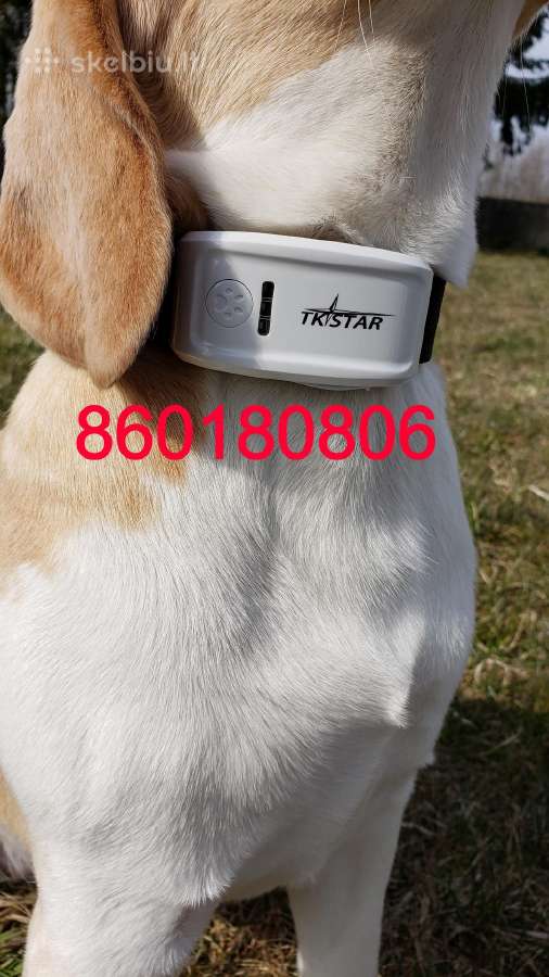 GPS seklys tk905 pasiklausymo - nuotraukos Nr. 8