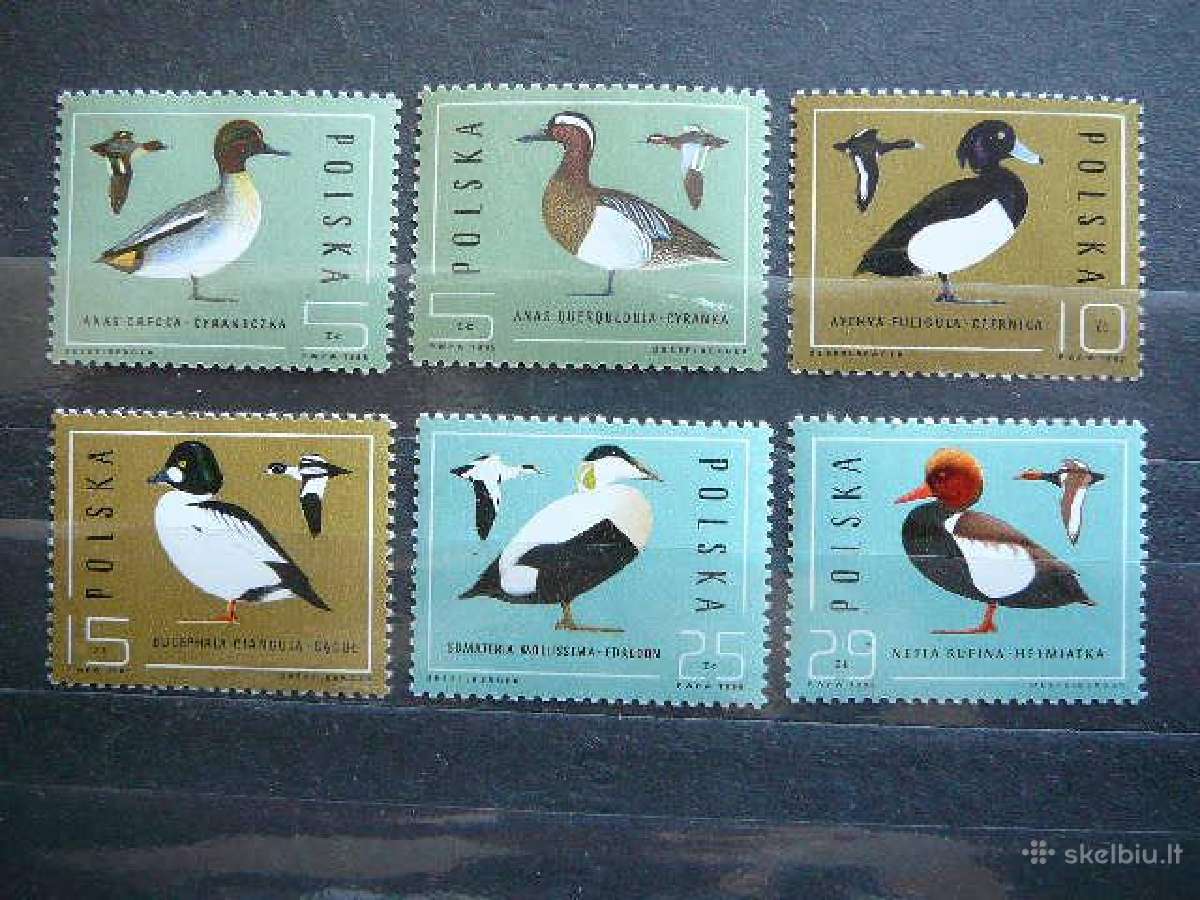 Antys Pauksciai Lenkija 1985 lk2998s