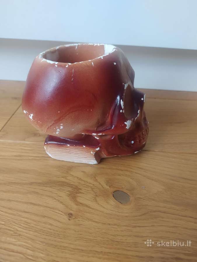 Gipsinė kaukolė statula peleninė - nuotraukos Nr. 3