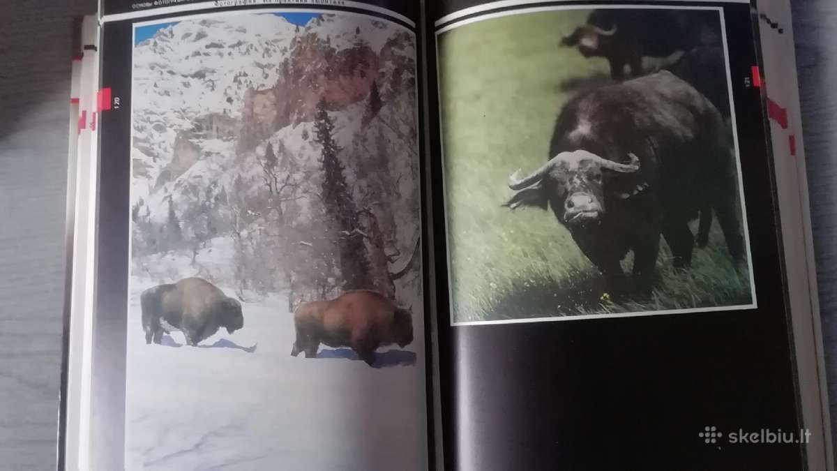 Fotografija 1988m - nuotraukos Nr. 3
