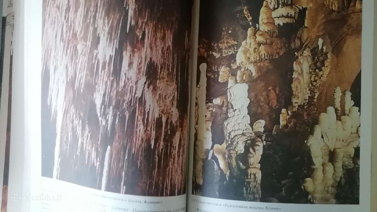 Priroda myra 1981m - nuotraukos Nr. 3
