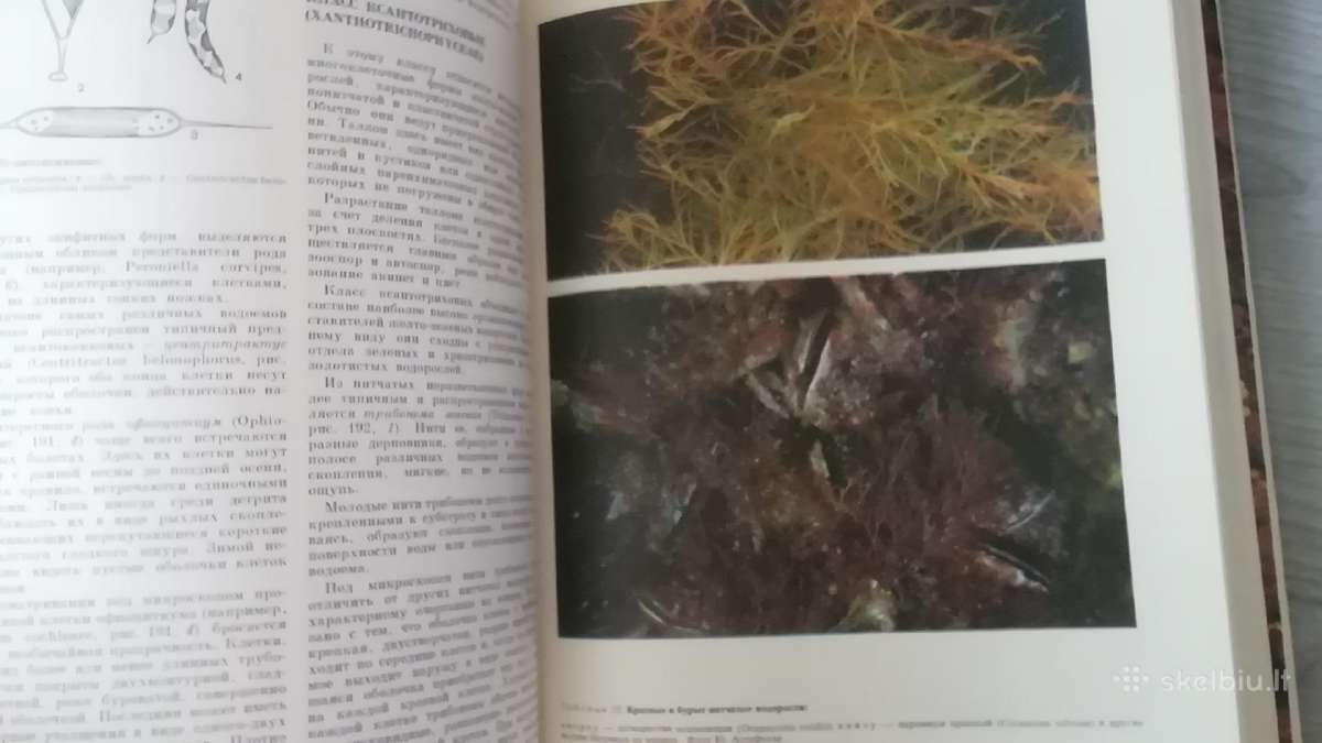 Zhizn rastenij knyga 3 ,1977m - nuotraukos Nr. 3