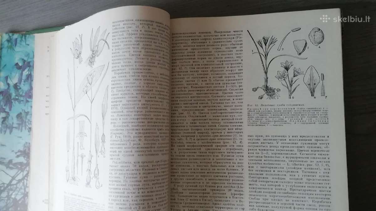 Zhizn rastenij knyga 6 - nuotraukos Nr. 3