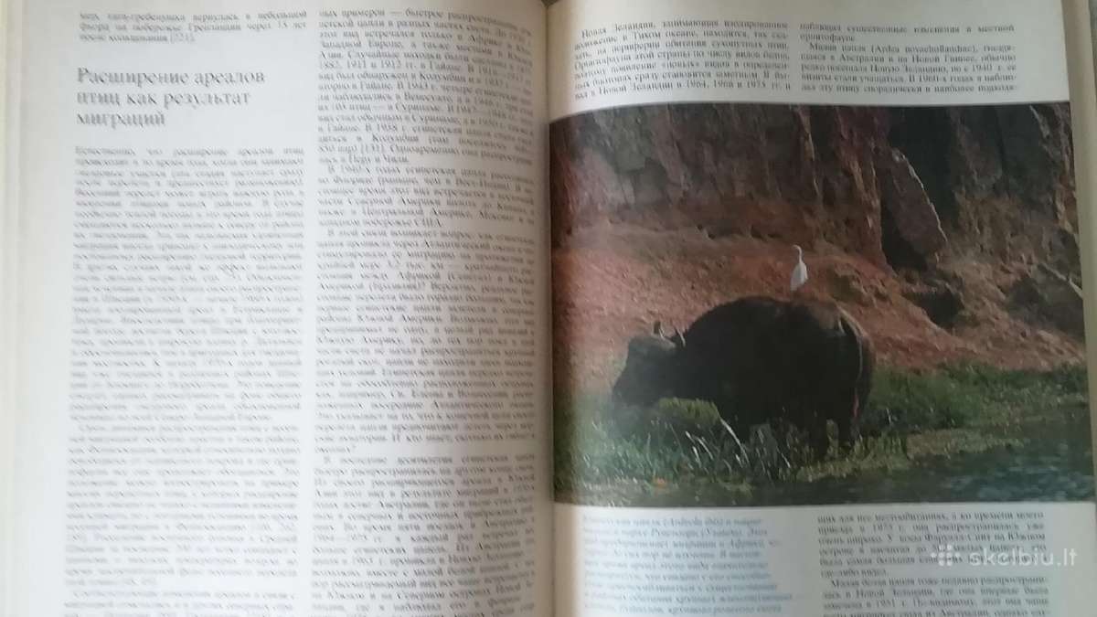 Ptici nad sushi i morem 1984 m knyga - nuotraukos Nr. 2