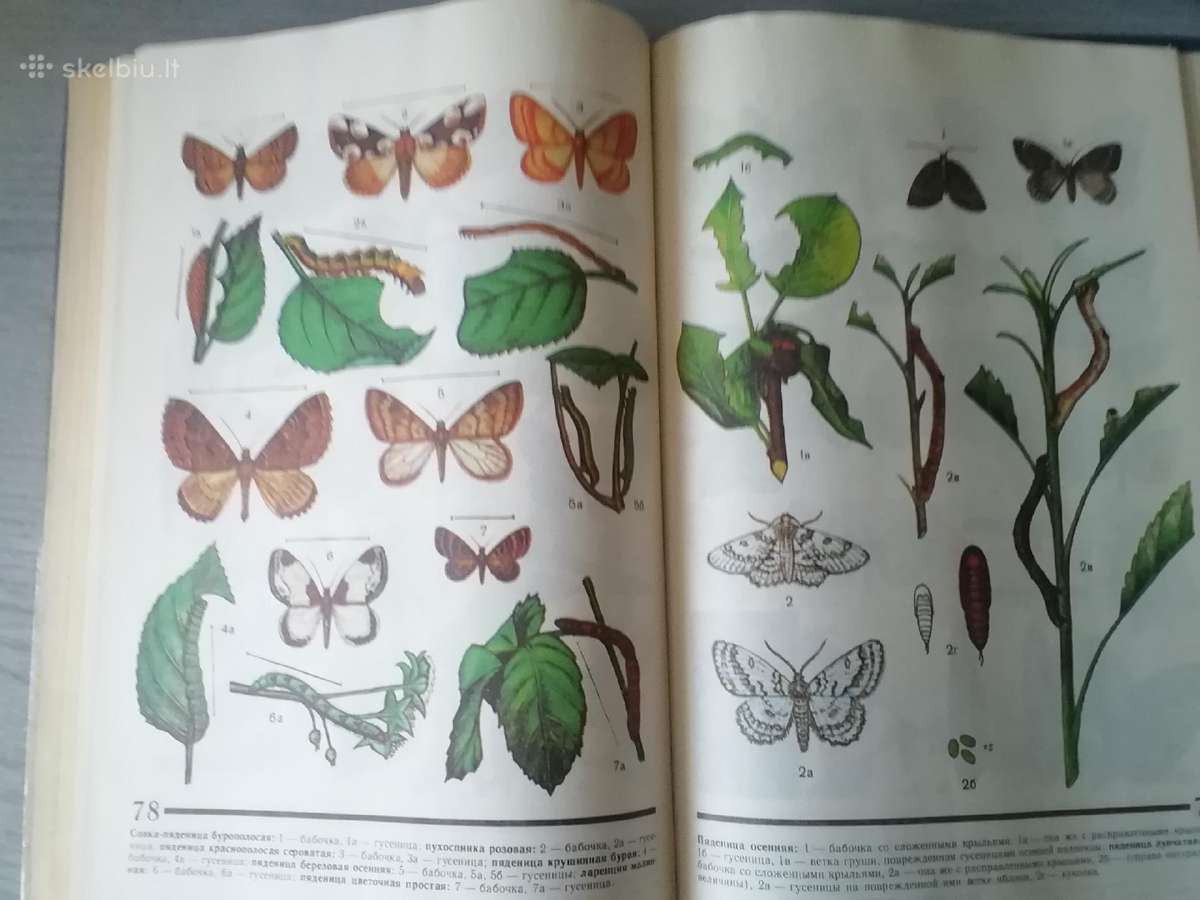 Knyga Атлас вредителей плодовых и ягодных культур - nuotraukos Nr. 2