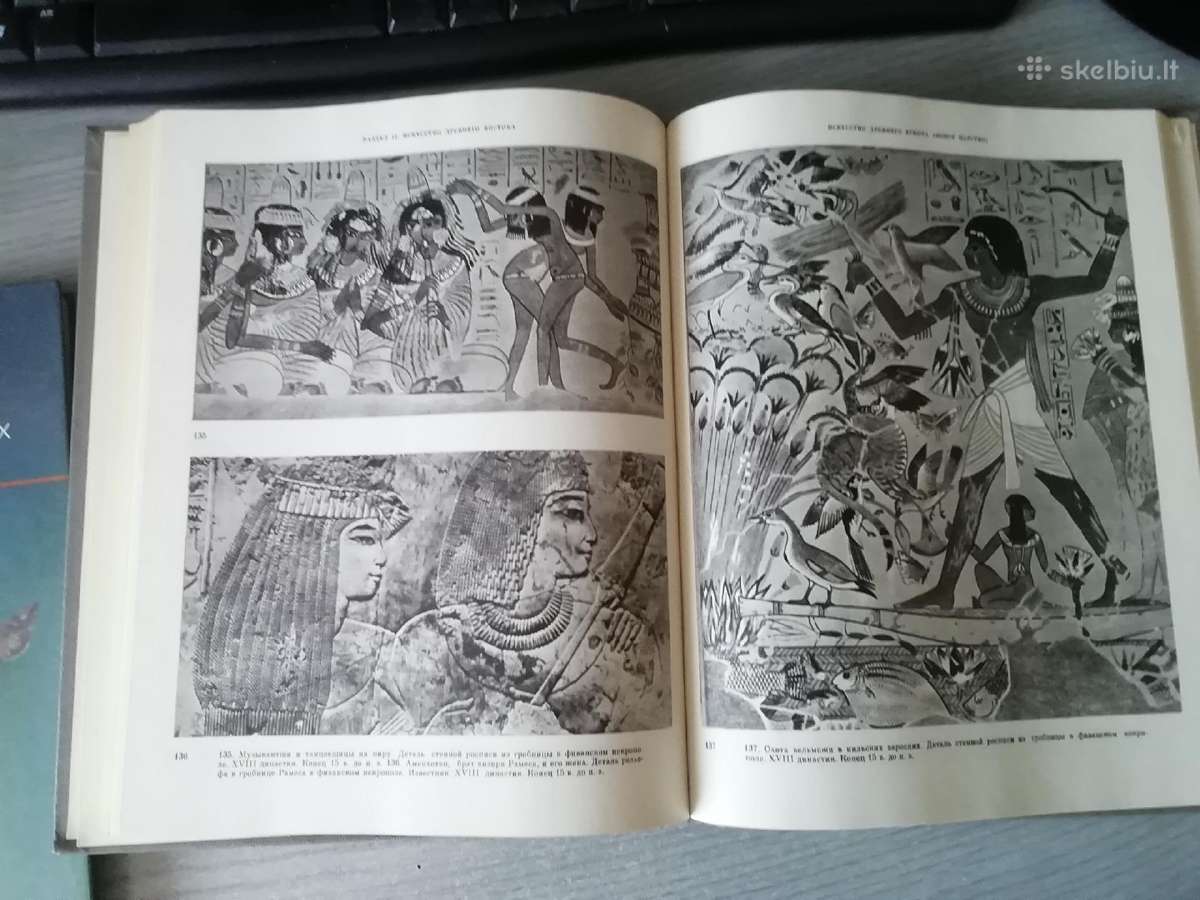 Istorija iskustva zarubeznih stran 1981m - nuotraukos Nr. 4