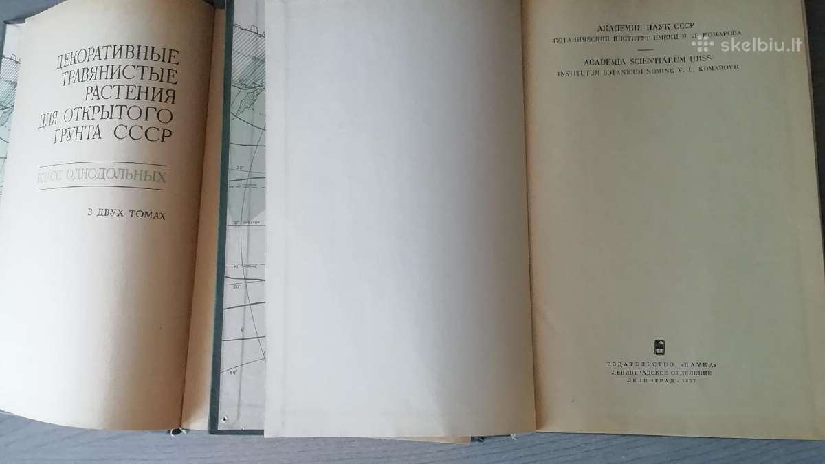 Dekorativnie travianlist rastenija - nuotraukos Nr. 2