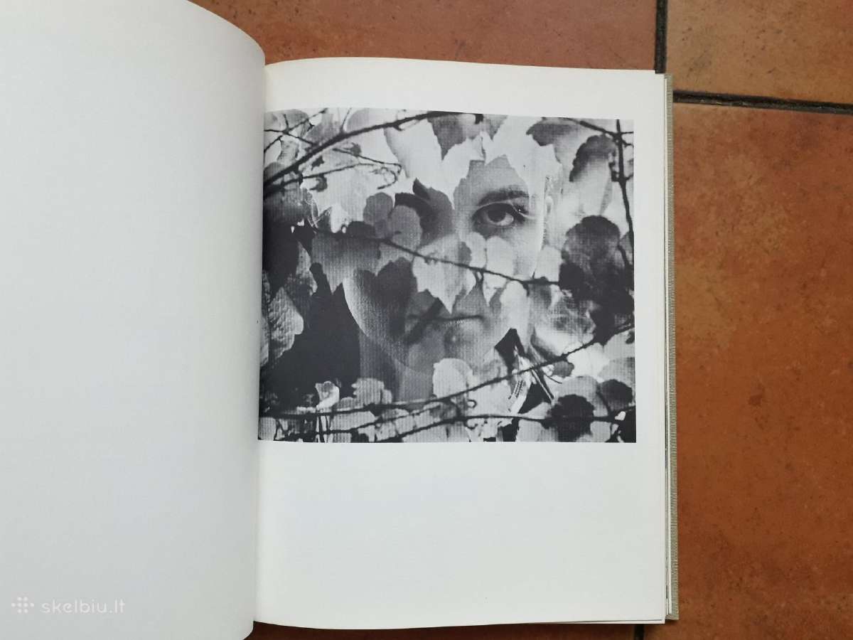 Algimantas Kezys, S. J. "Form and Content" 1972 m. - nuotraukos Nr. 6