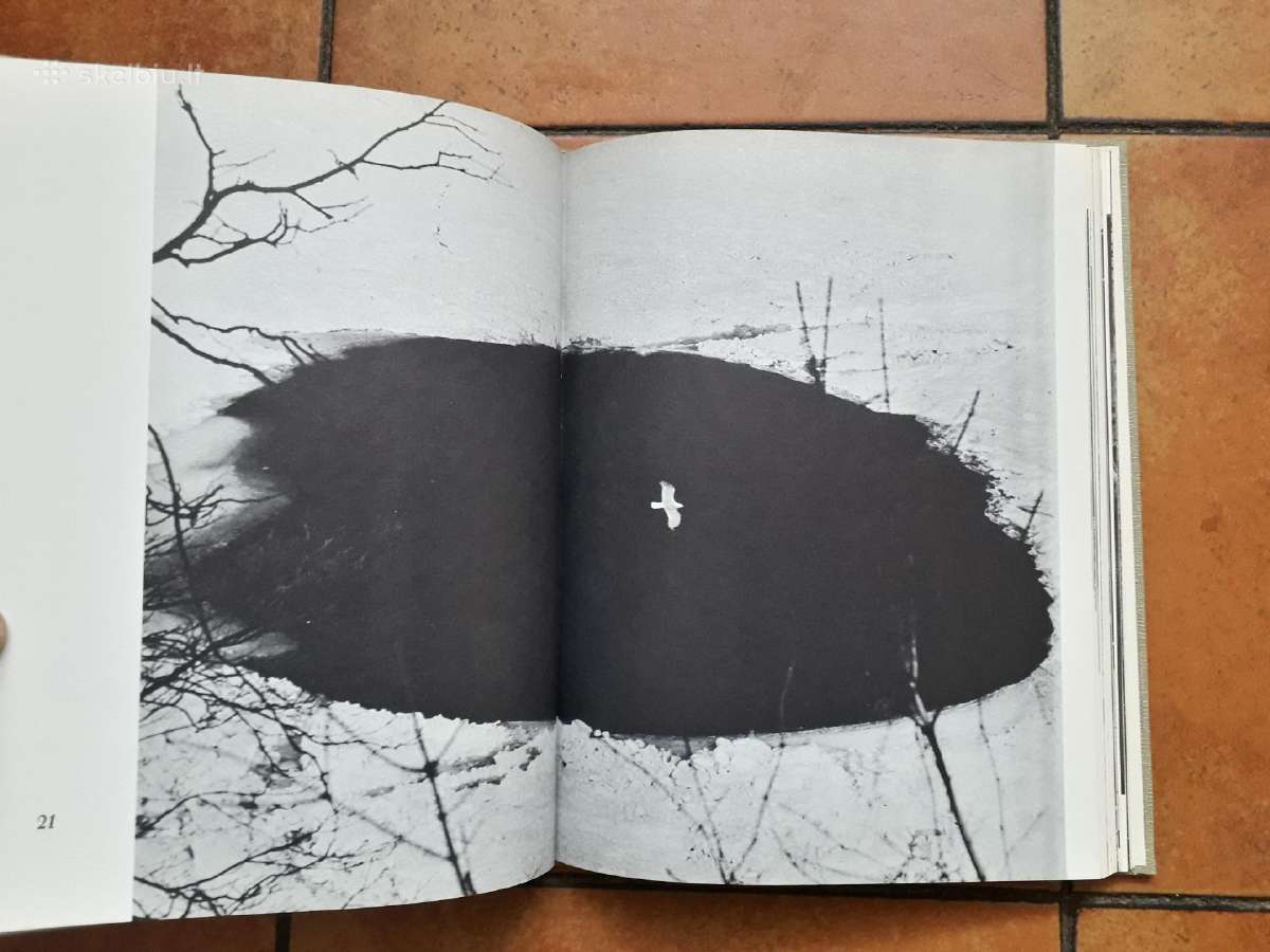 Algimantas Kezys, S. J. "Form and Content" 1972 m. - nuotraukos Nr. 11