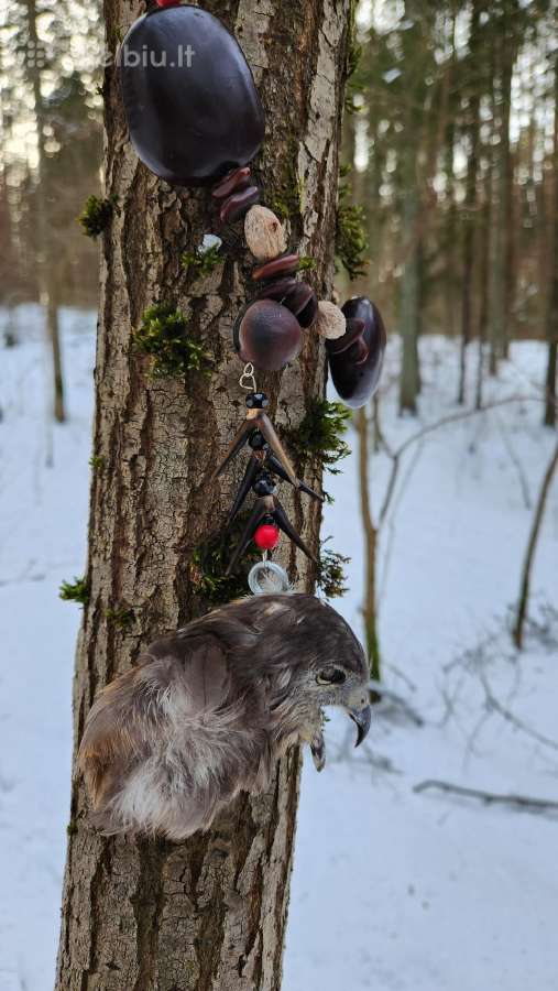 Vėrinys su erelio galva iš Meksikos šamanų. - nuotraukos Nr. 3
