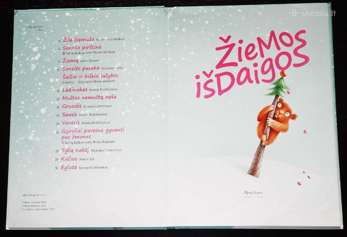 Žiemos išdaigos - nuotraukos Nr. 2