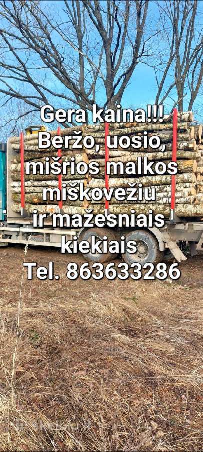 Malkos miškovežiu ištisus metus - nuotraukos Nr. 3