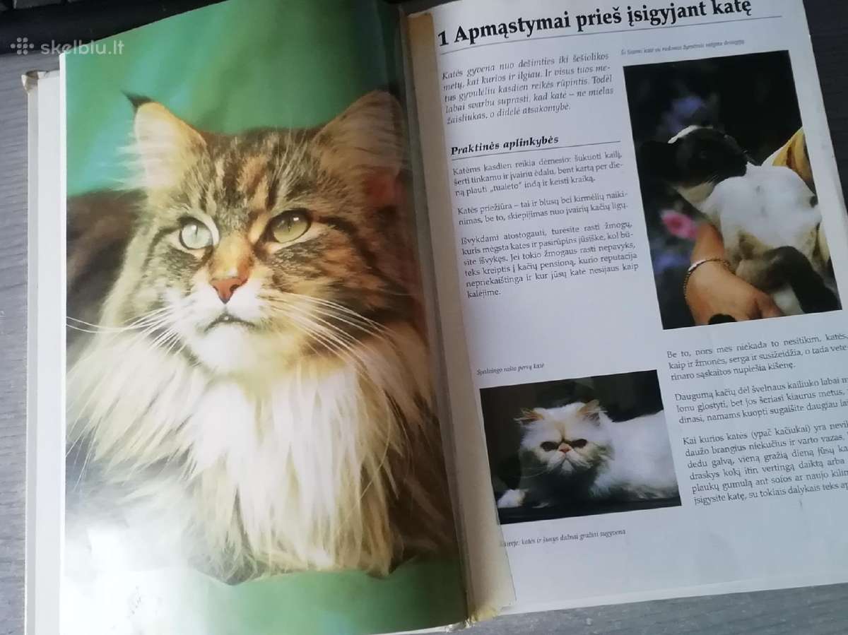 Kaciu enciklopedija - nuotraukos Nr. 2