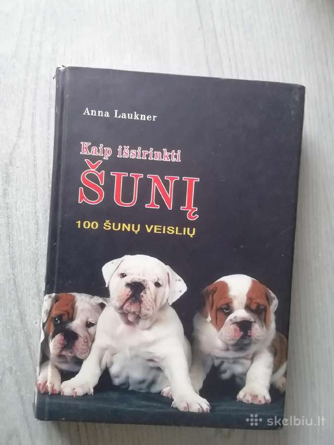 Kaip issirinkti suni 100 veisliu