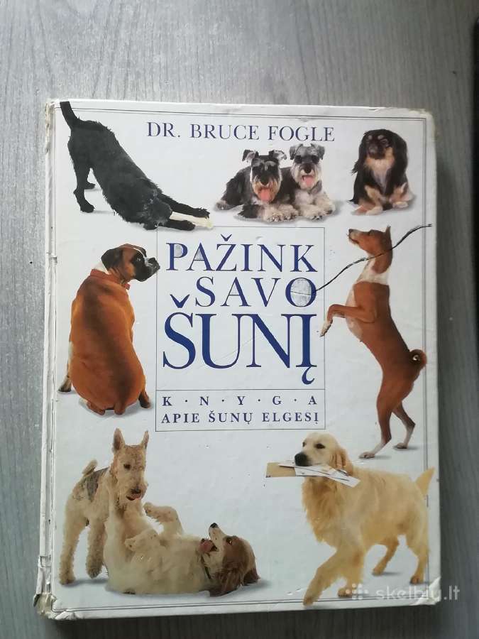 Pažink savo šunį