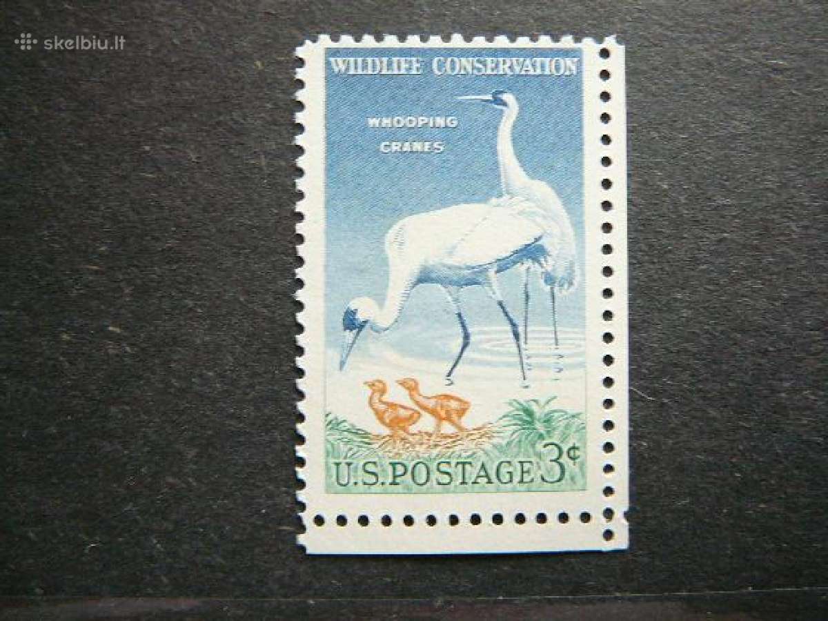 Pauksciai JAV 1957 uss721
