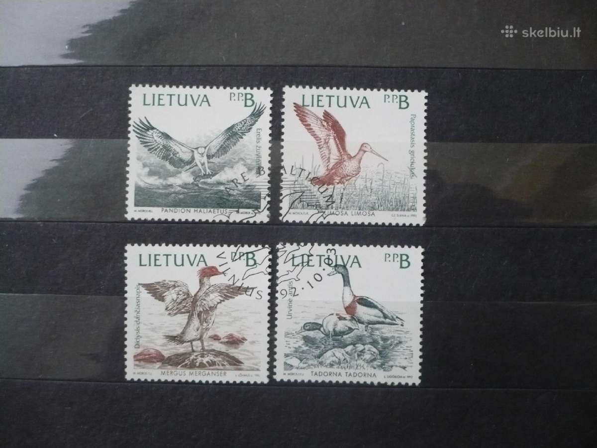 1992 m. Baltijos paukščiai