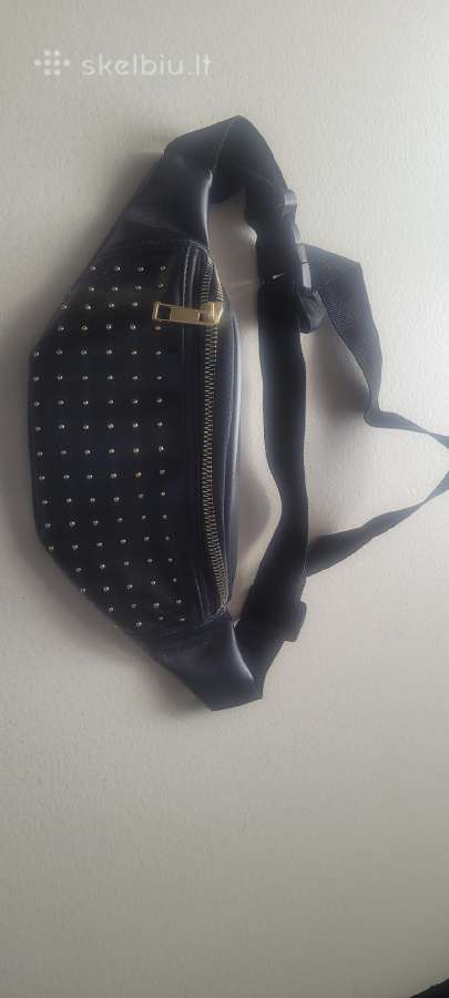 Pinigine,