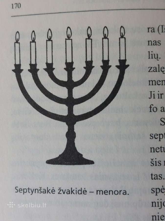 Knyga - Lietuvos istorijos paminklai . - nuotraukos Nr. 17