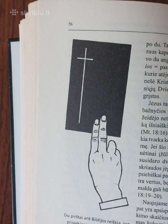 Knyga - Lietuvos istorijos paminklai . - nuotraukos Nr. 21