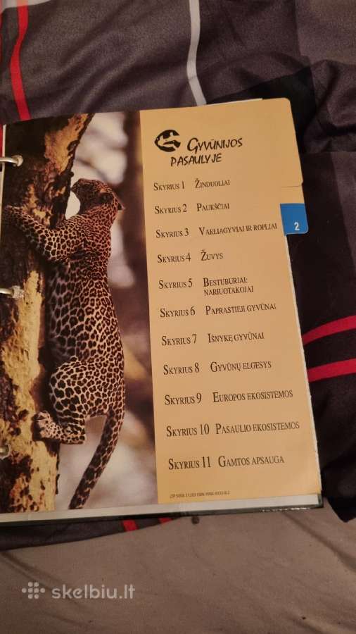 Gyvūnų enciklopedijos