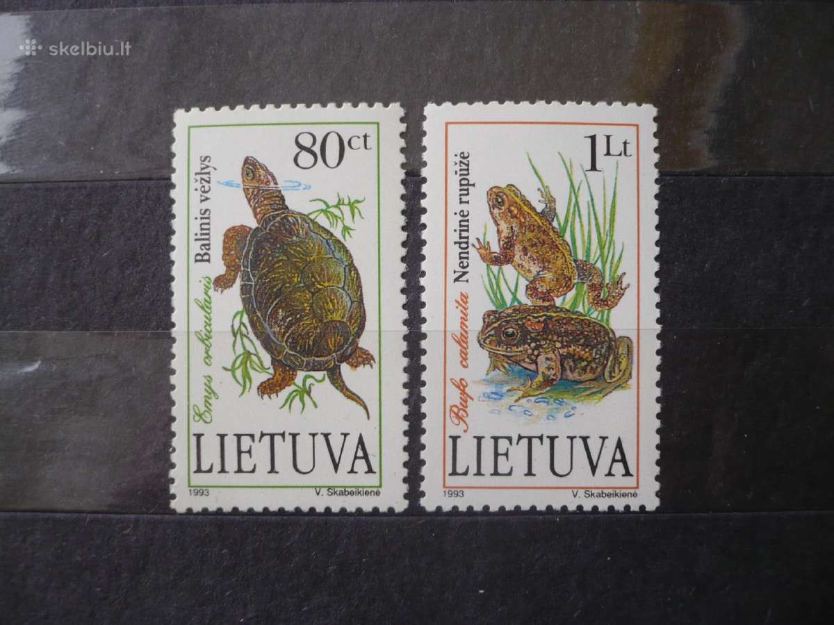 1993 tvenkinio gyvenimas Mhn
