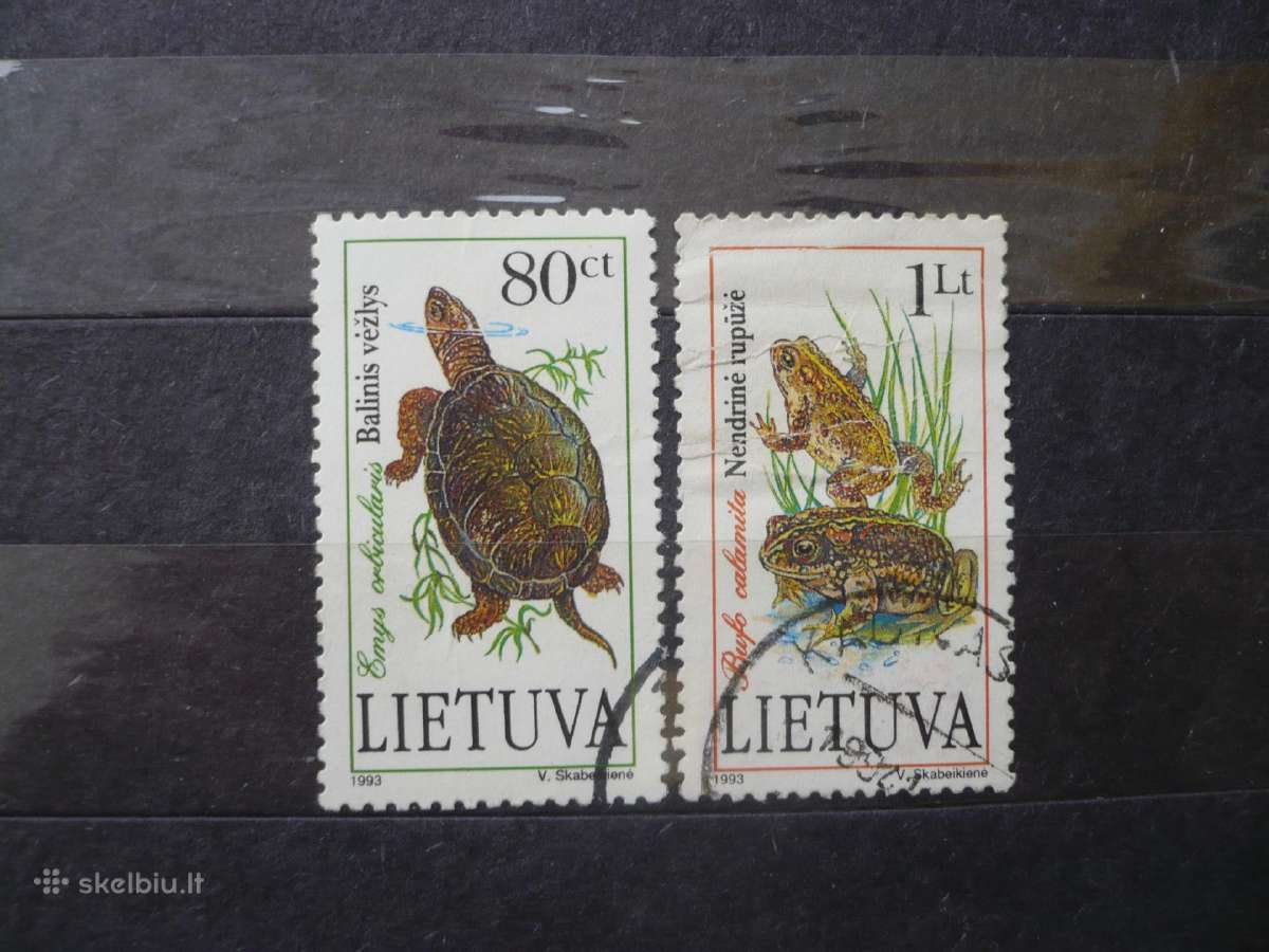 1993 tvenkinio gyvenimas