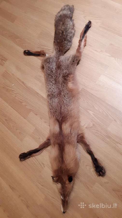 Lapės kailis