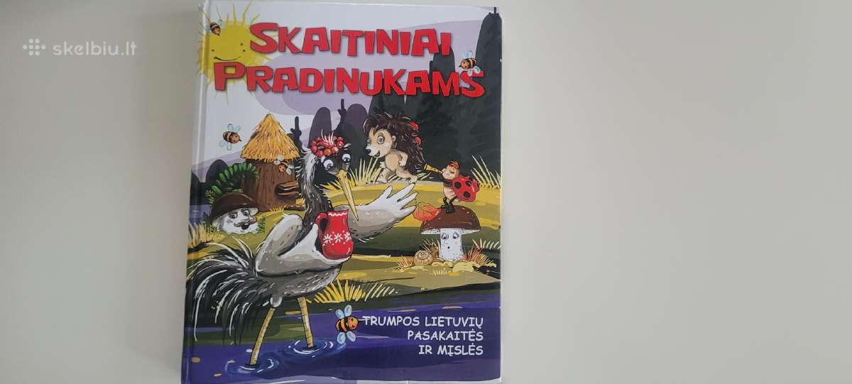 Knyga Skaitiniai pradinukams