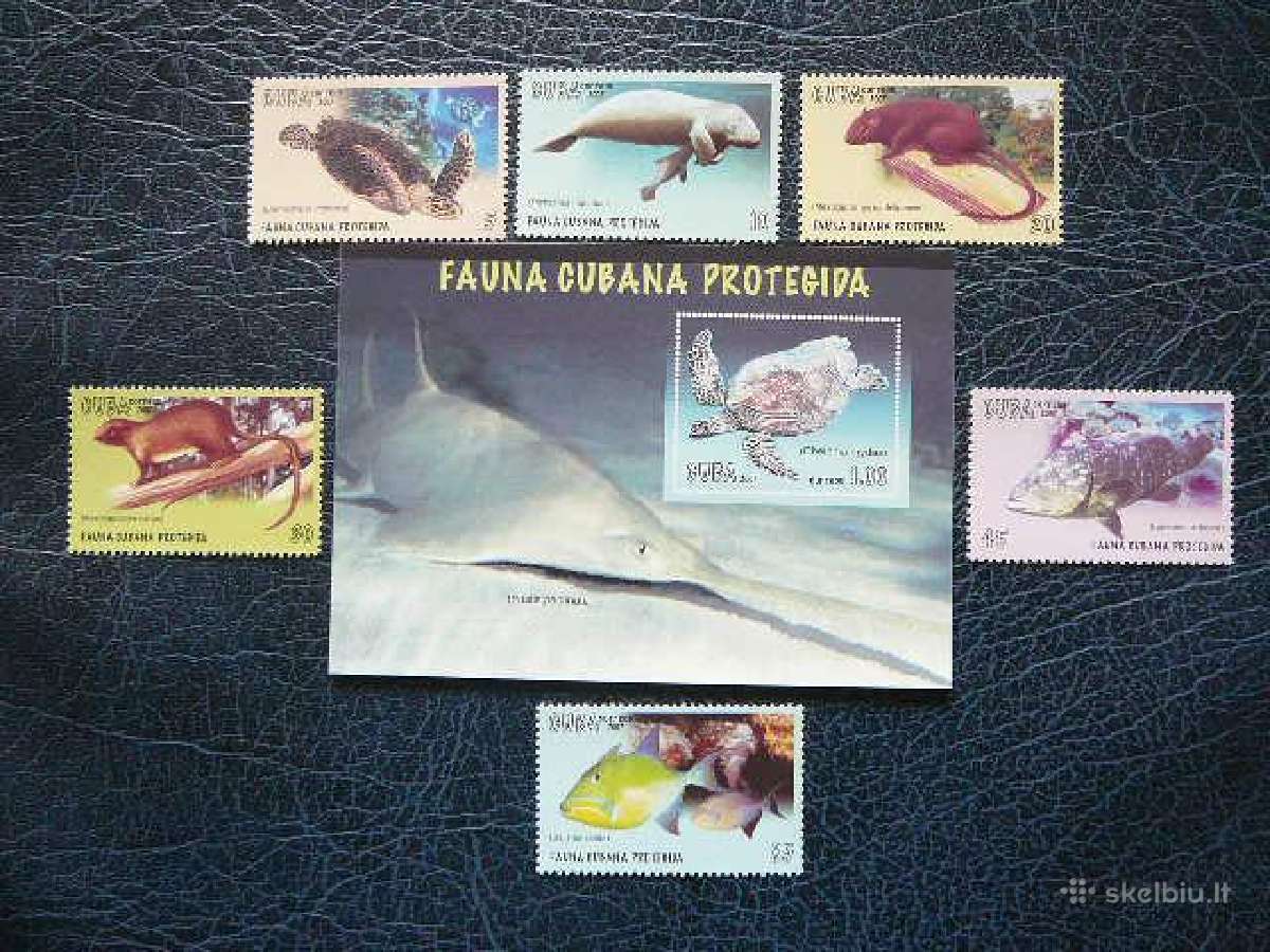 Vezliai Zuvys Kuba 2007 Mnh cub199