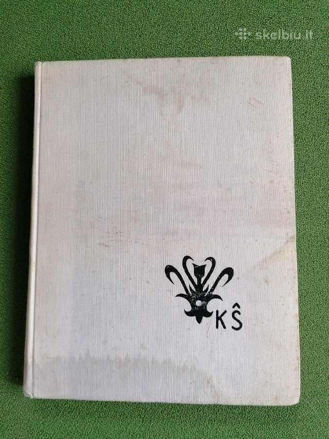 Daug knygu biografinės, istorinės, pokalbių, istor - nuotraukos Nr. 12