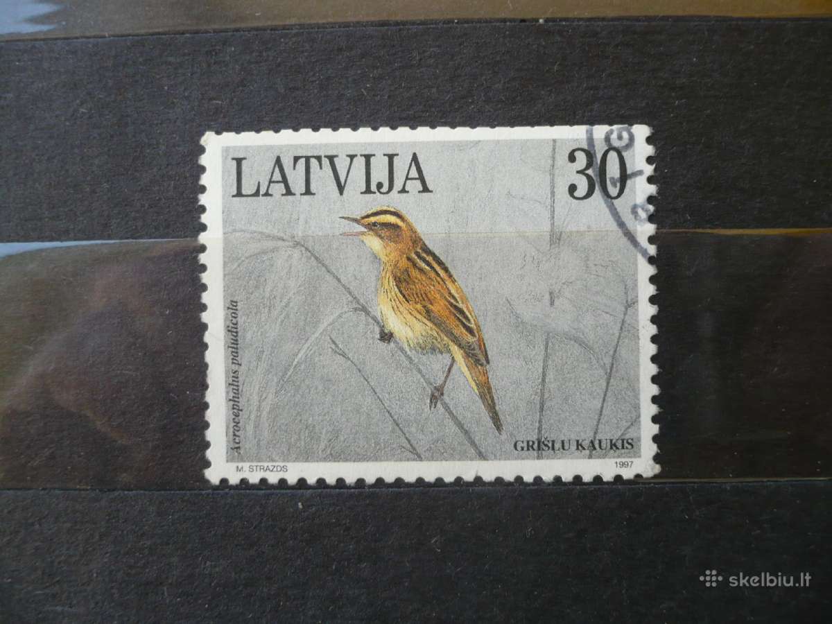 1997 Paukščiai